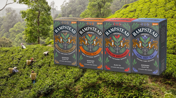 organic black tea hampstead tea