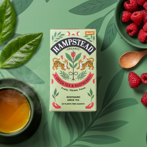 Organic Green Tea with Raspberry Tea Bags