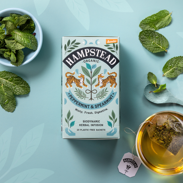 Organic Peppermint & Spearmint Tea Bags