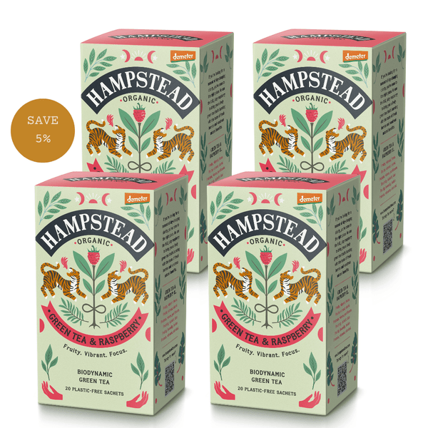 Organic Green Tea with Raspberry Tea Bags - Hampstead Tea